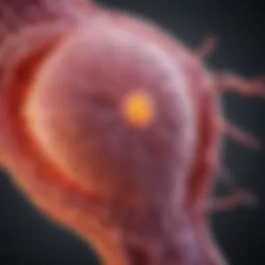 Pathways of Metastasis in Breast Cancer Diagram illustrating the pathways of breast cancer metastasis