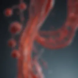 Genetic Influences on Hypertension