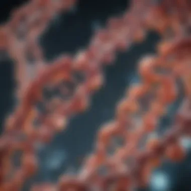 Mechanisms of Protein Degradation Overview of protein degradation mechanisms