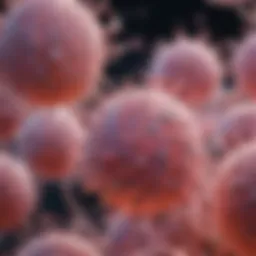 Cellular structure of triple negative breast cancer