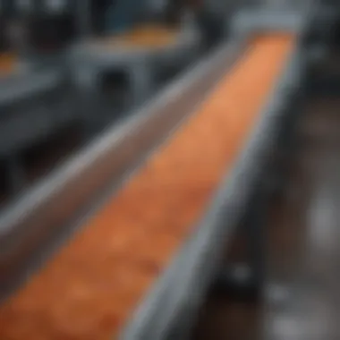 Vibrating conveyor system utilized in food processing, highlighting efficiency.