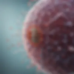 Illustration of pathogen identification in vaccine development