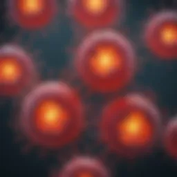 Microscopic view of abnormal plasma cells