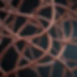 Genetic structure illustrating the X-linked inheritance pattern