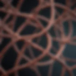 Genetic structure illustrating the X-linked inheritance pattern