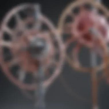 Understanding Zometa's Mechanism Mechanism of action of Zometa